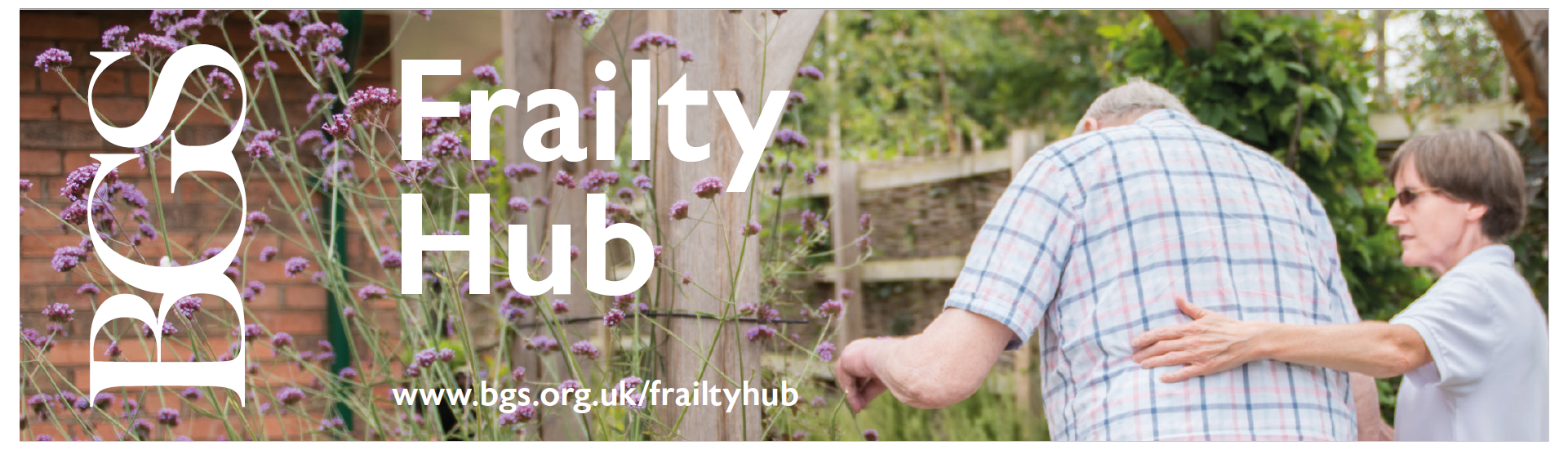 Frailty Hub