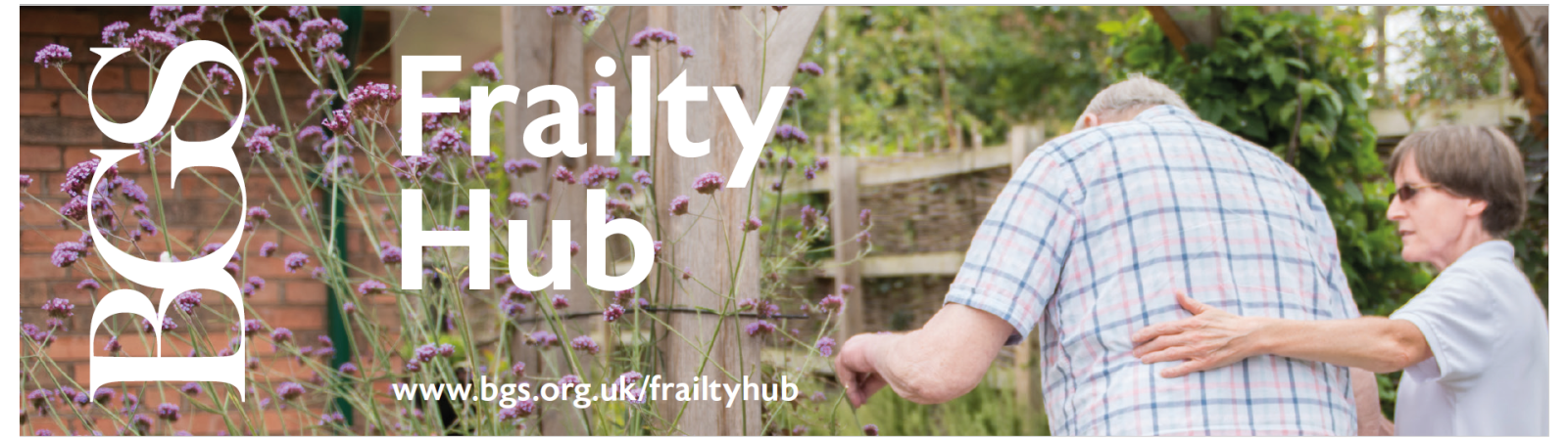 Frailty Hub